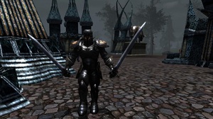 The Black Knight